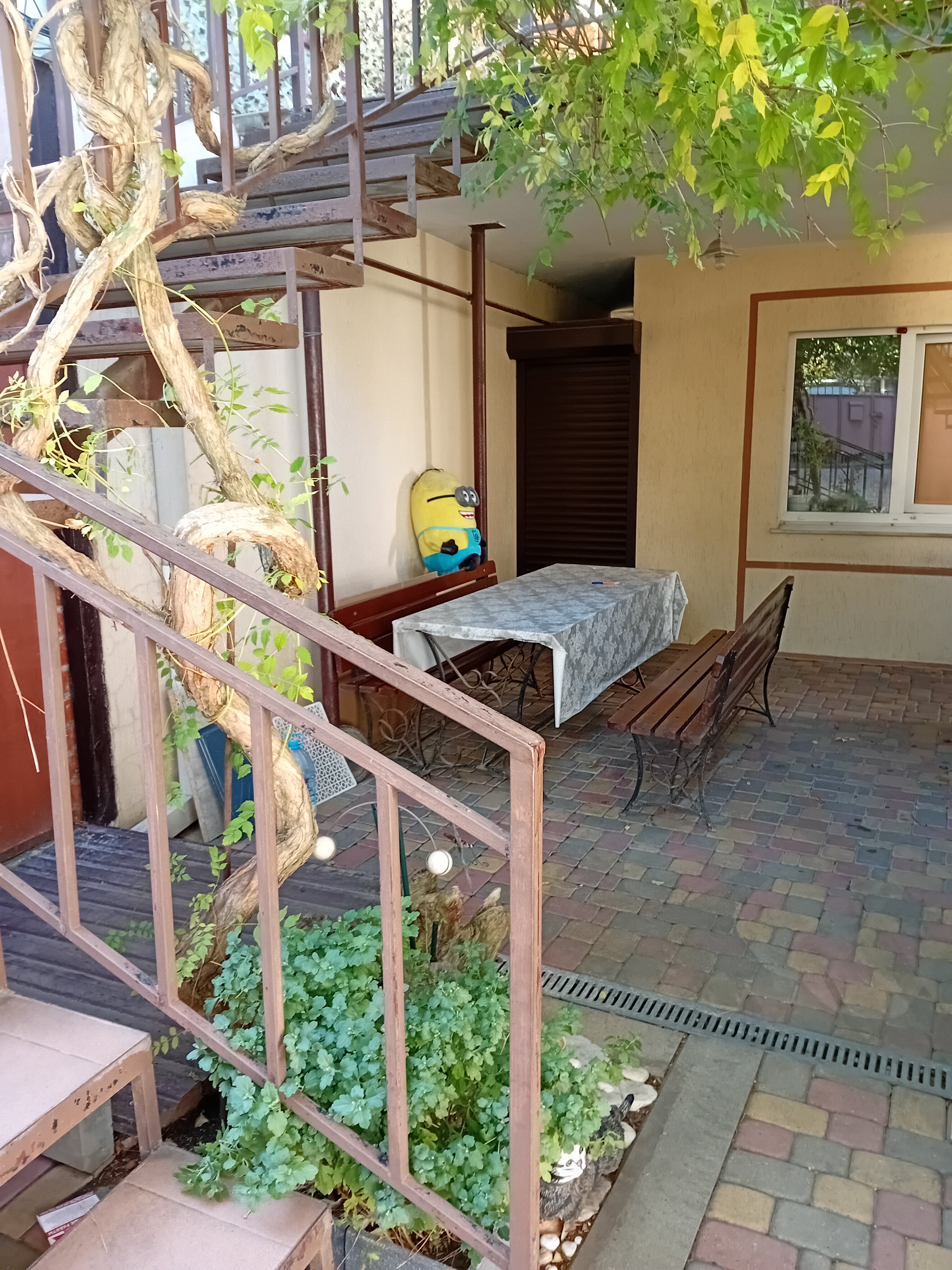 Фото Фамилия