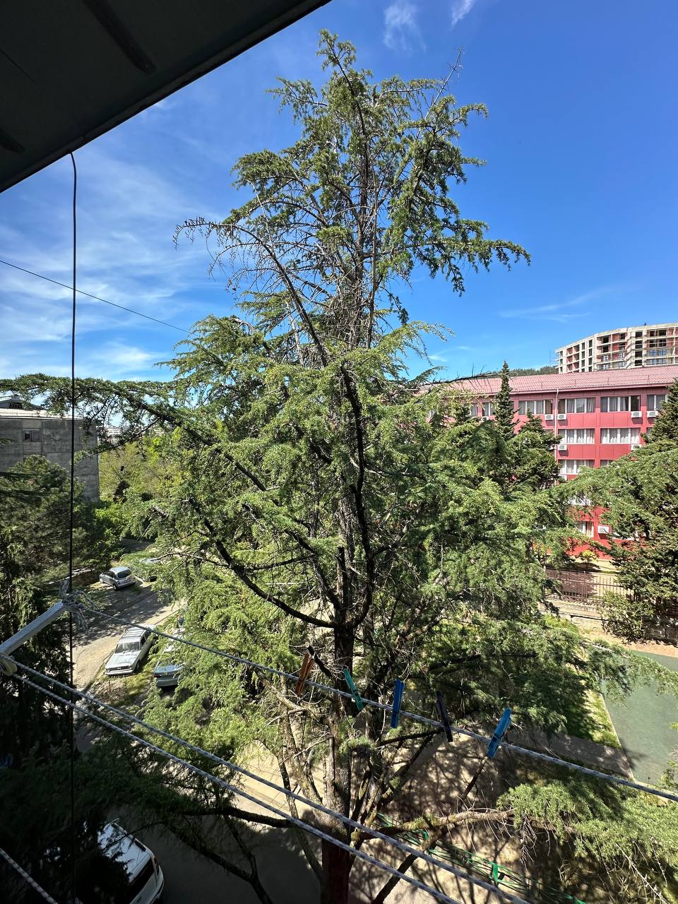 Фото Апартаменты