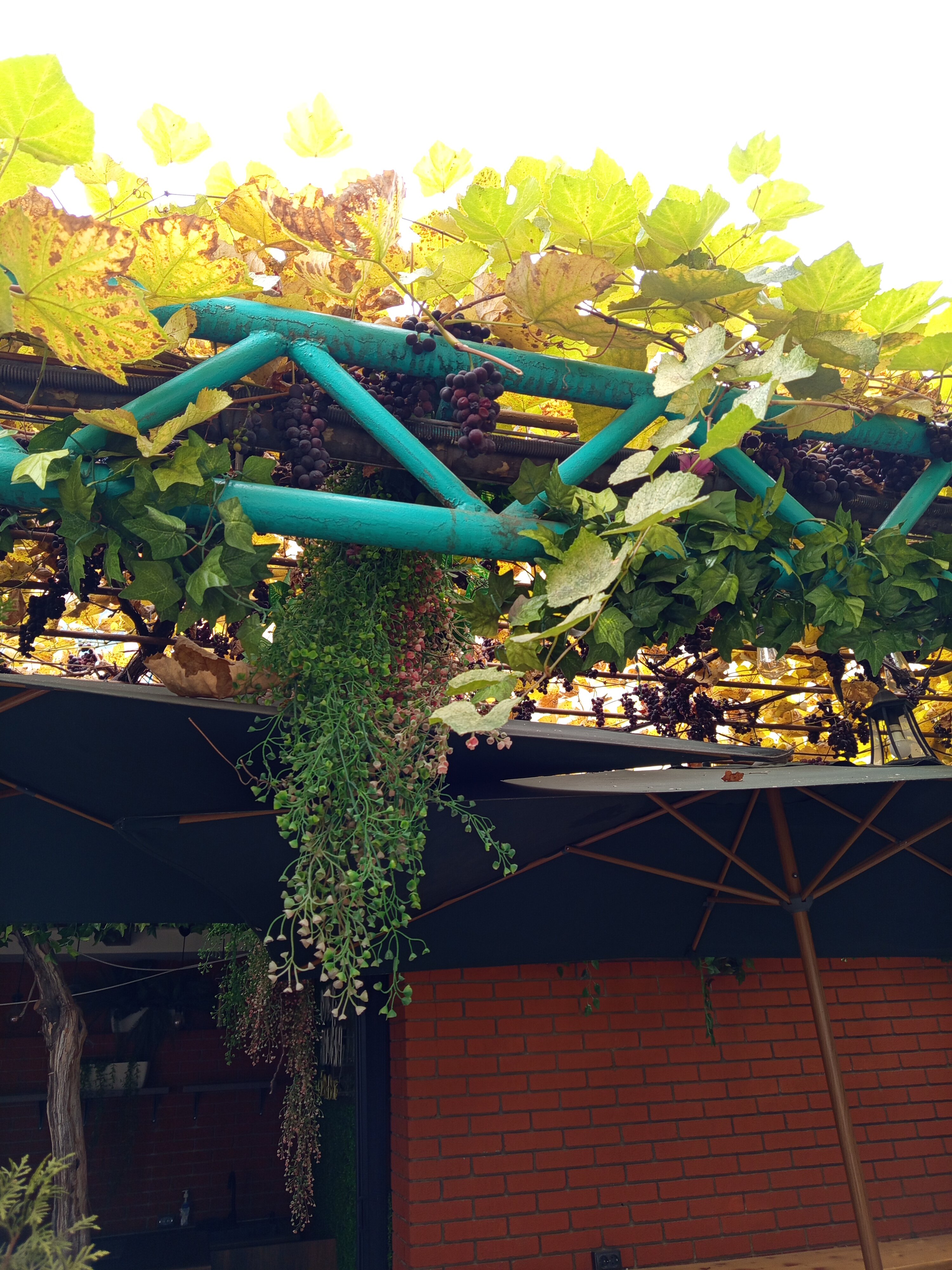 Фото Imperial House