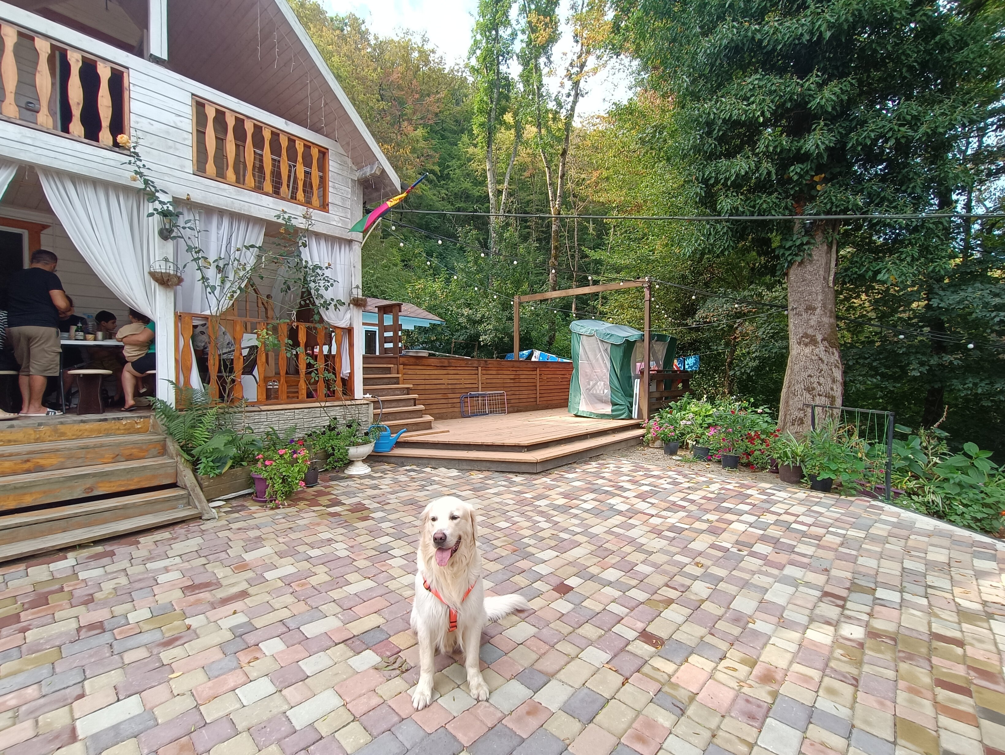 Фото Лесные домики