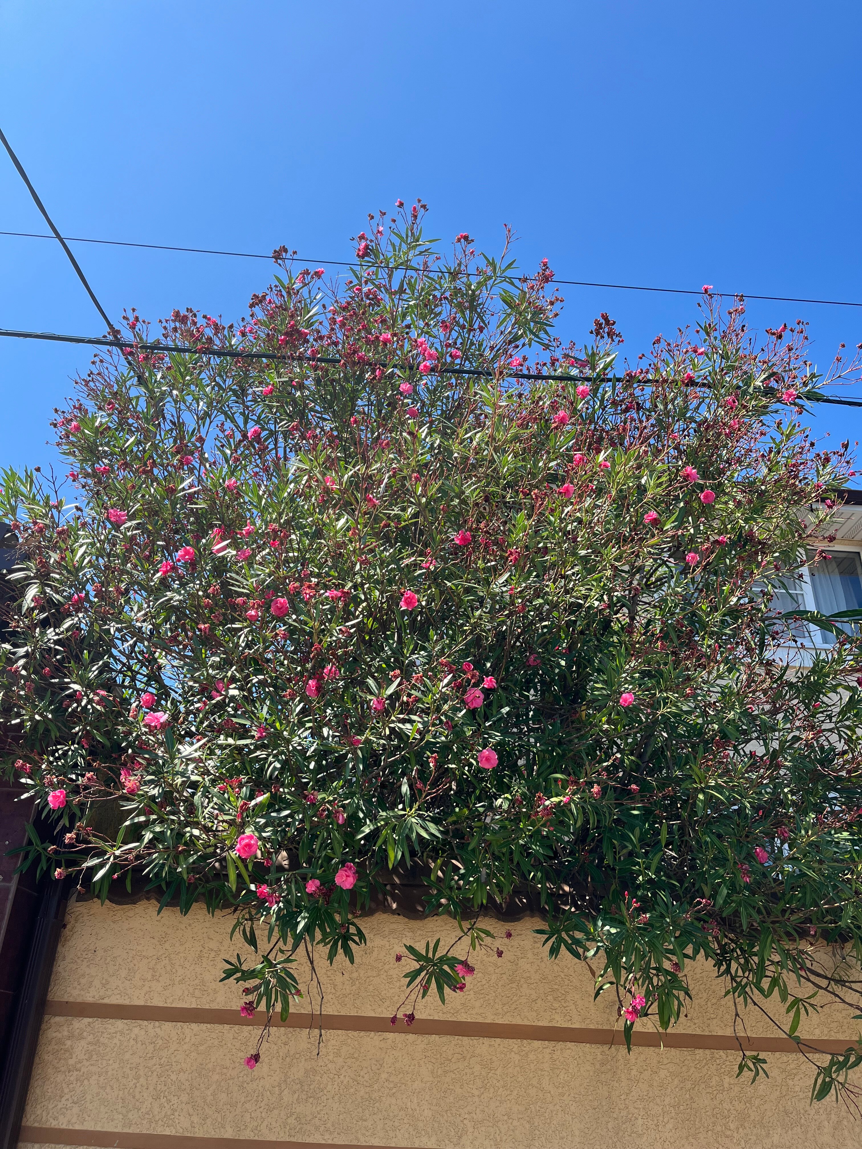 Фото Эксклюзив