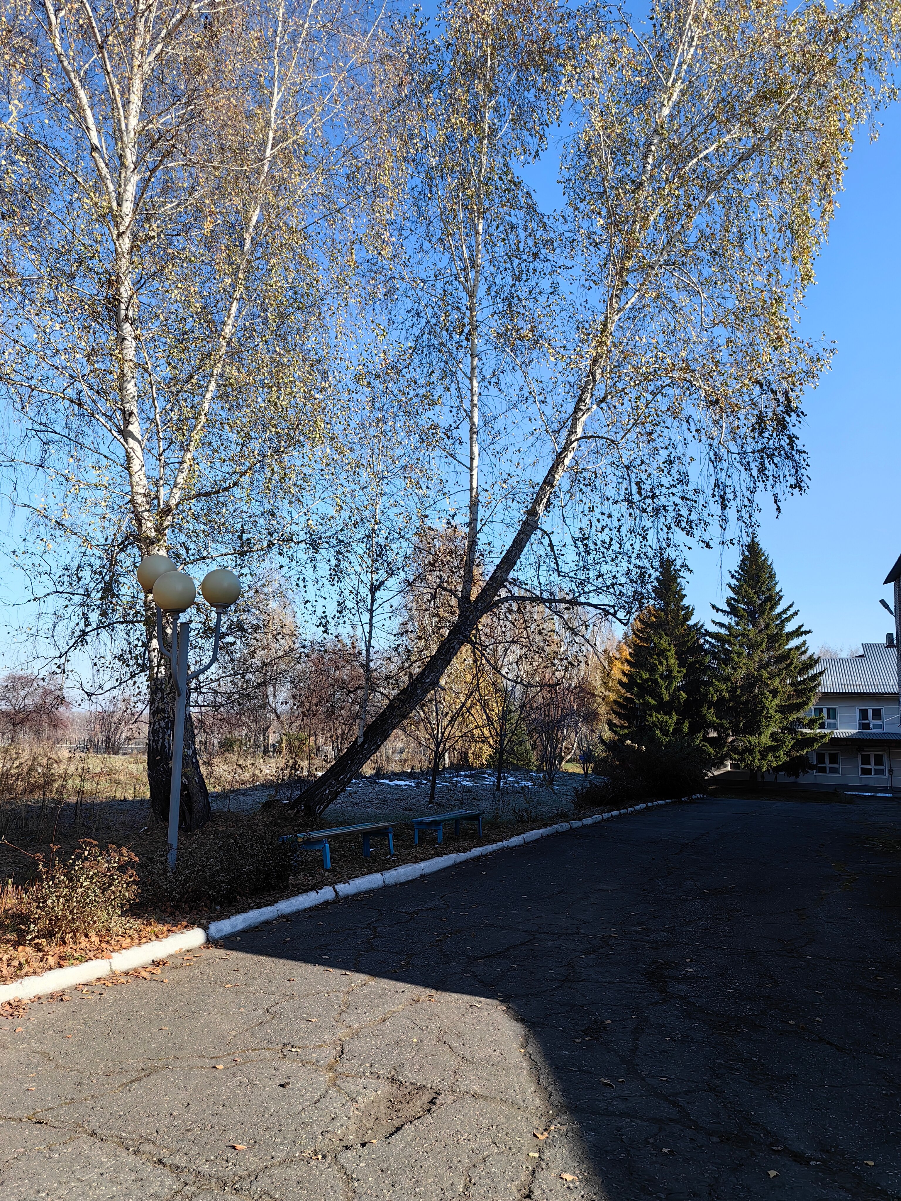 Фото Бодрость