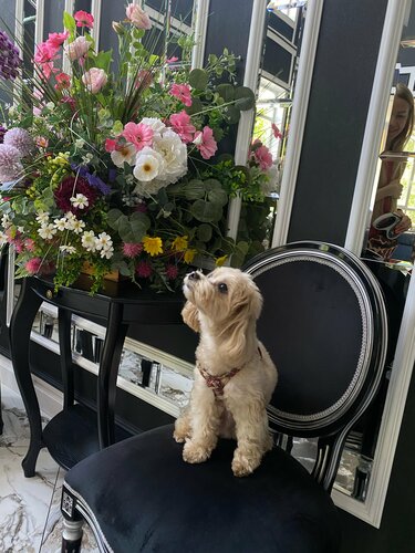 Иное жильё Жемчужина в Карачаево-Черкесской Республике