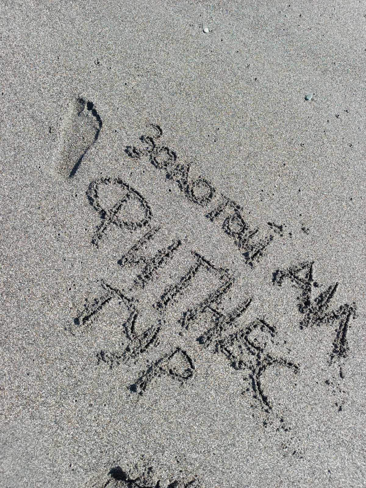 Фото Цитрус 1