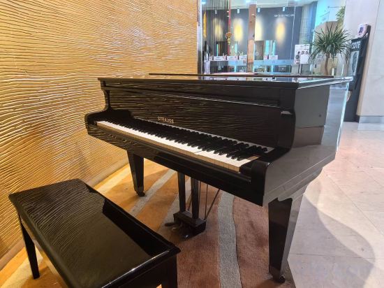 Фото Holiday Inn Shanghai Pudong, an Ihg Hotel