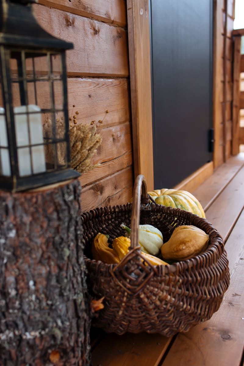 Фото Манский берег