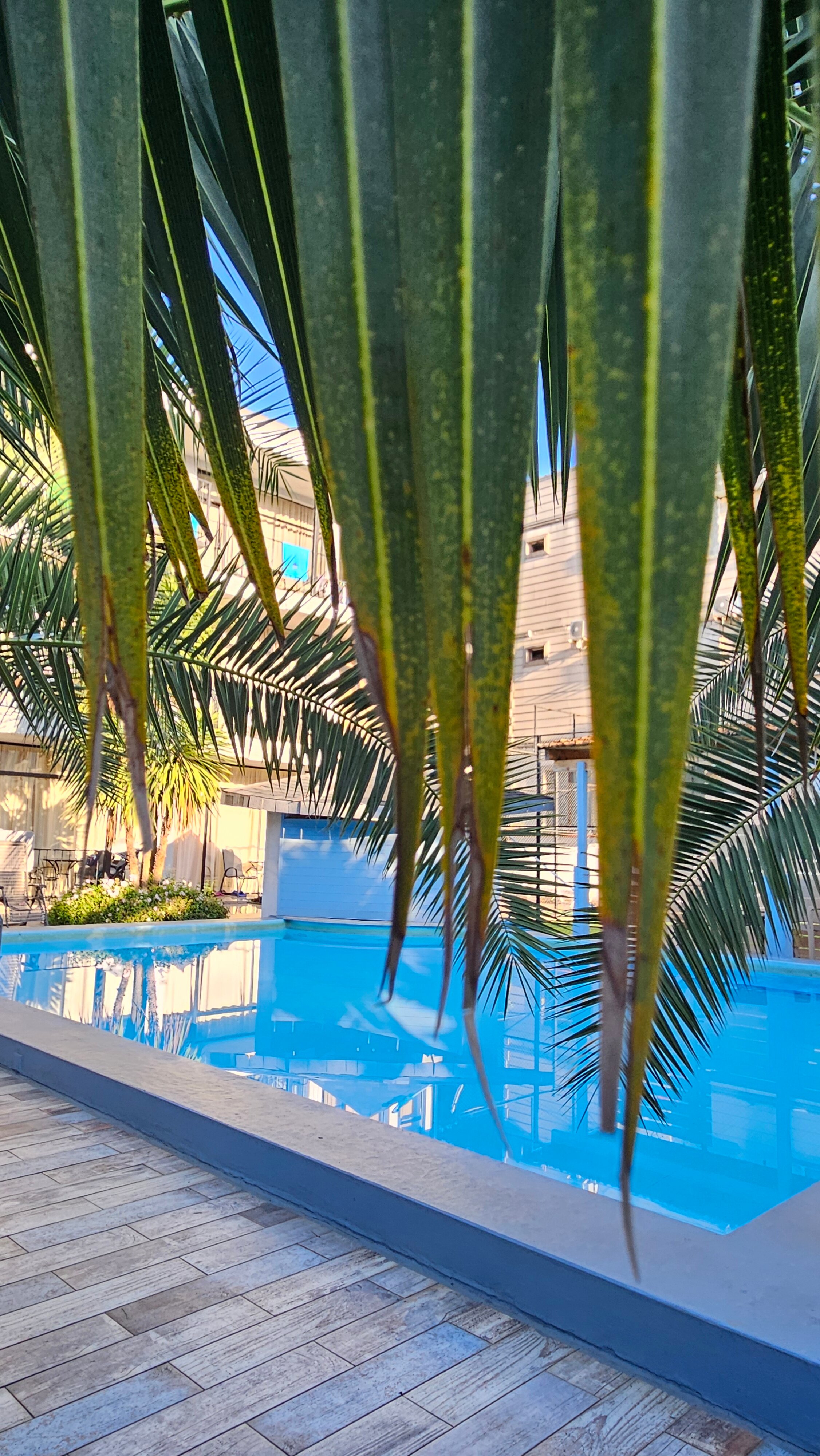 Фото Hotel Amigo I