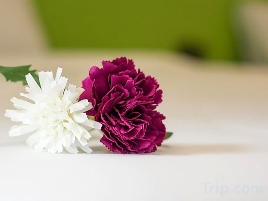 Фото Varinda Hostel