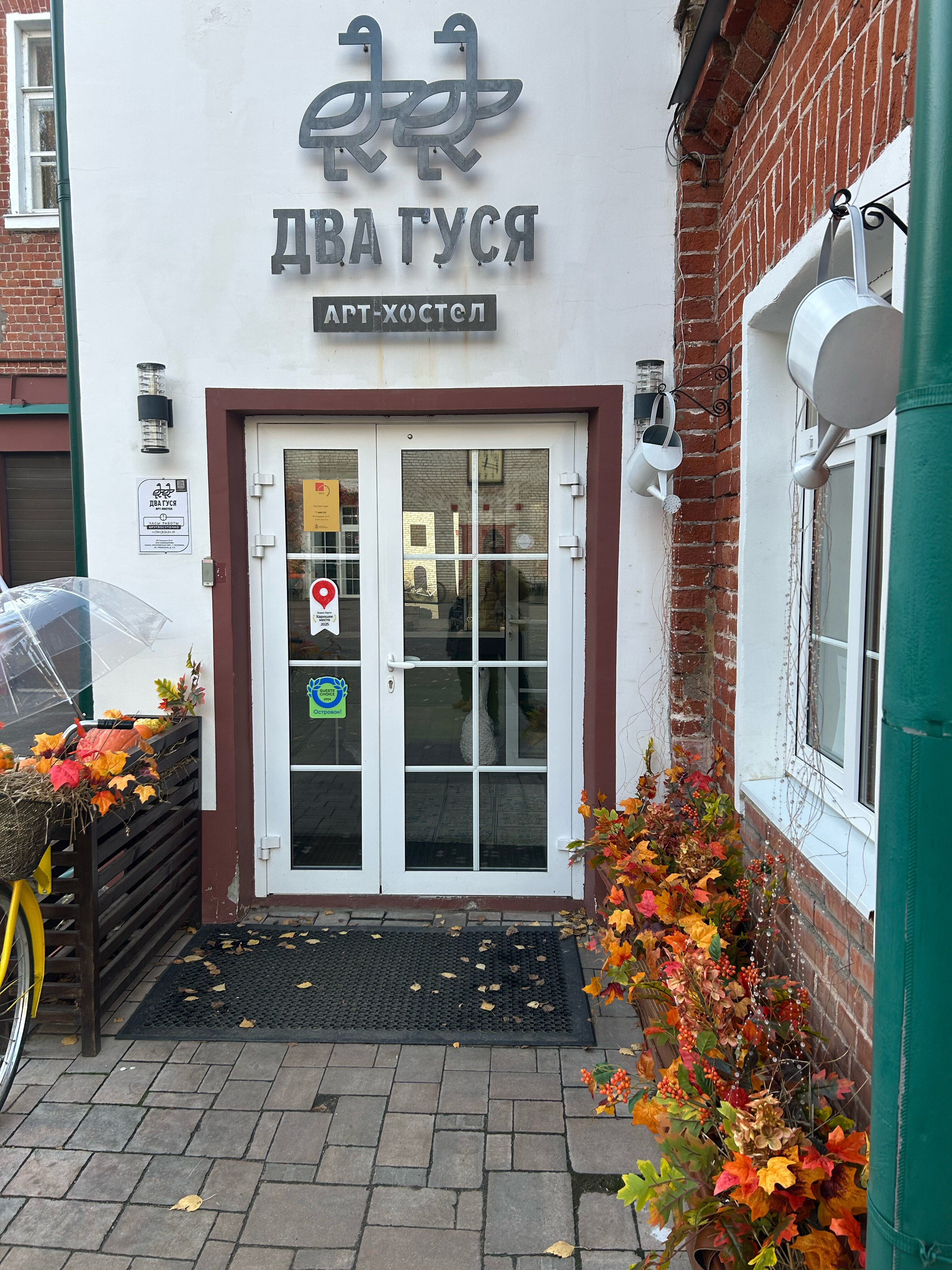 Фото Два гуся