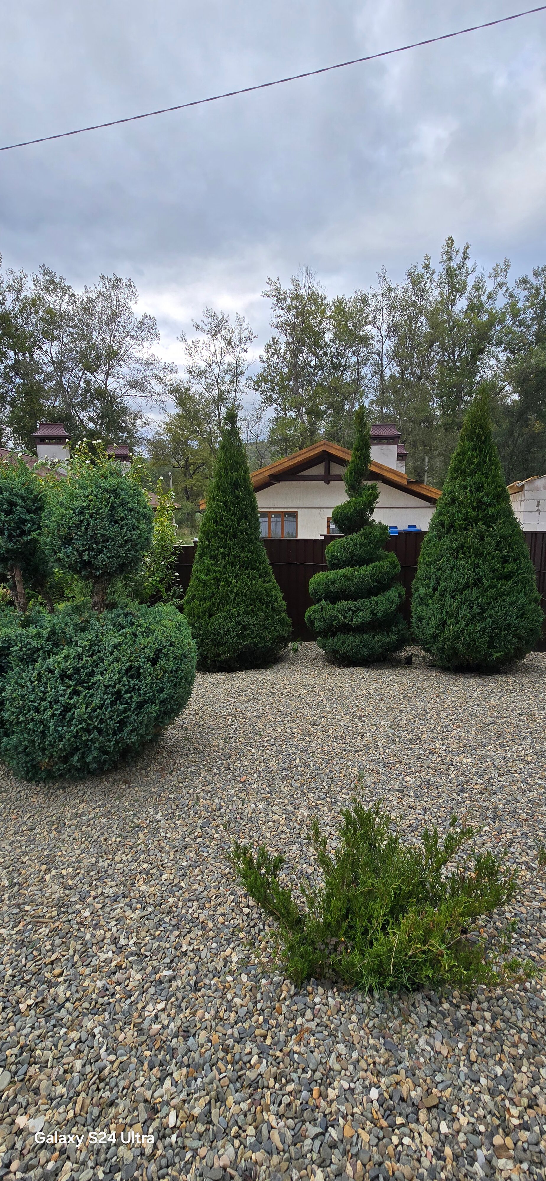 Фото Белая Дача