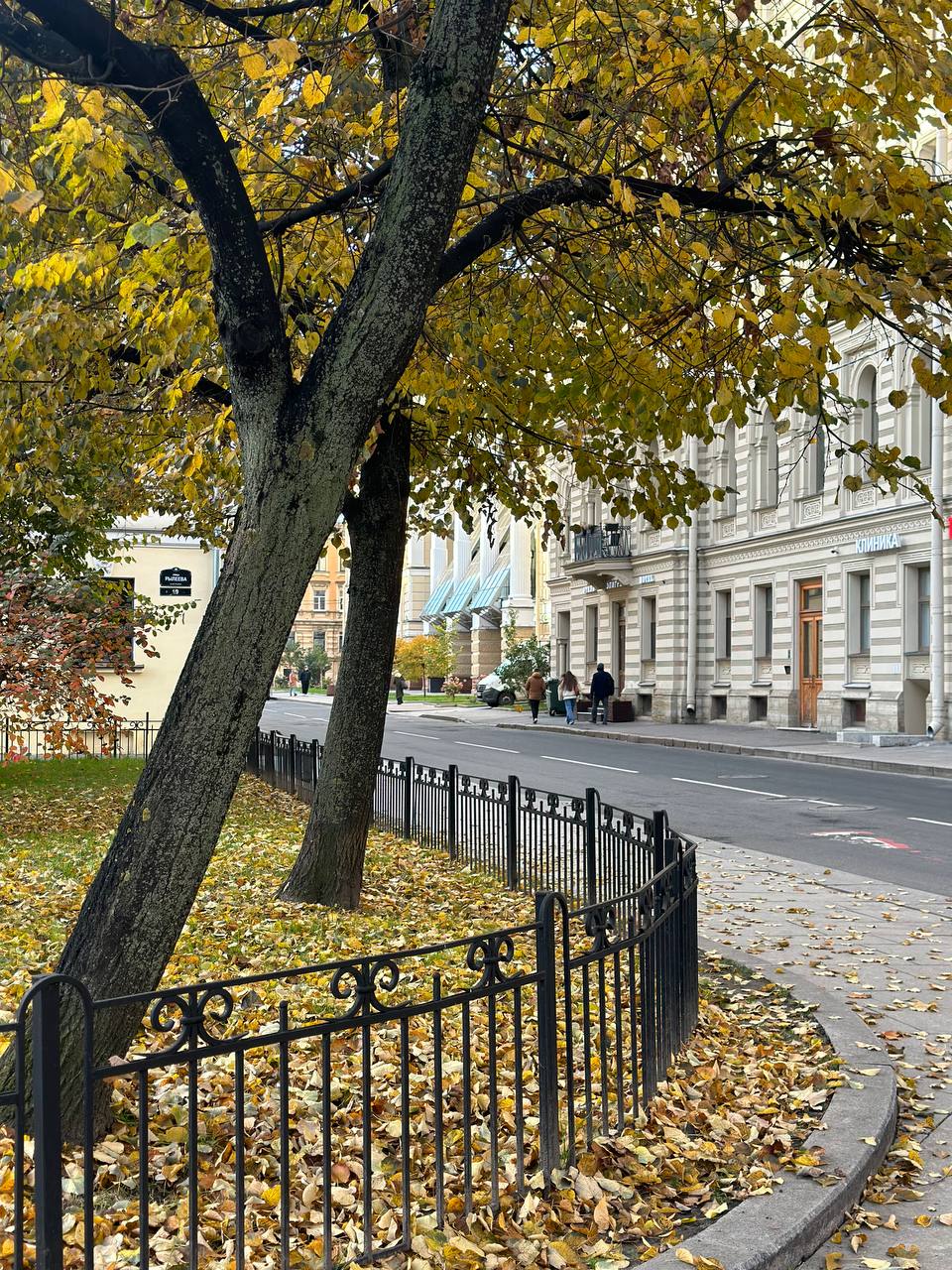 Фото Белинский