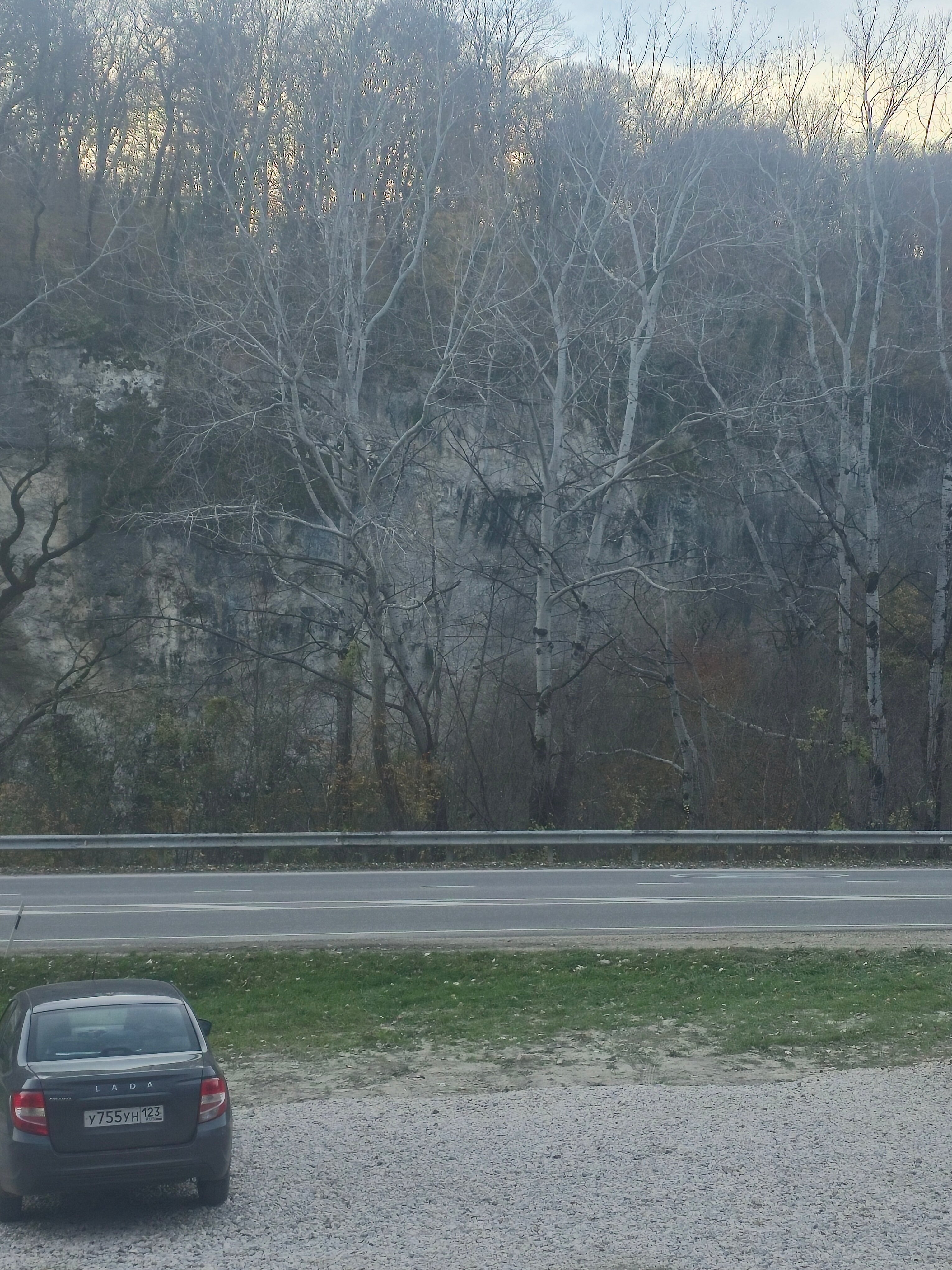 Фото Твой Дом