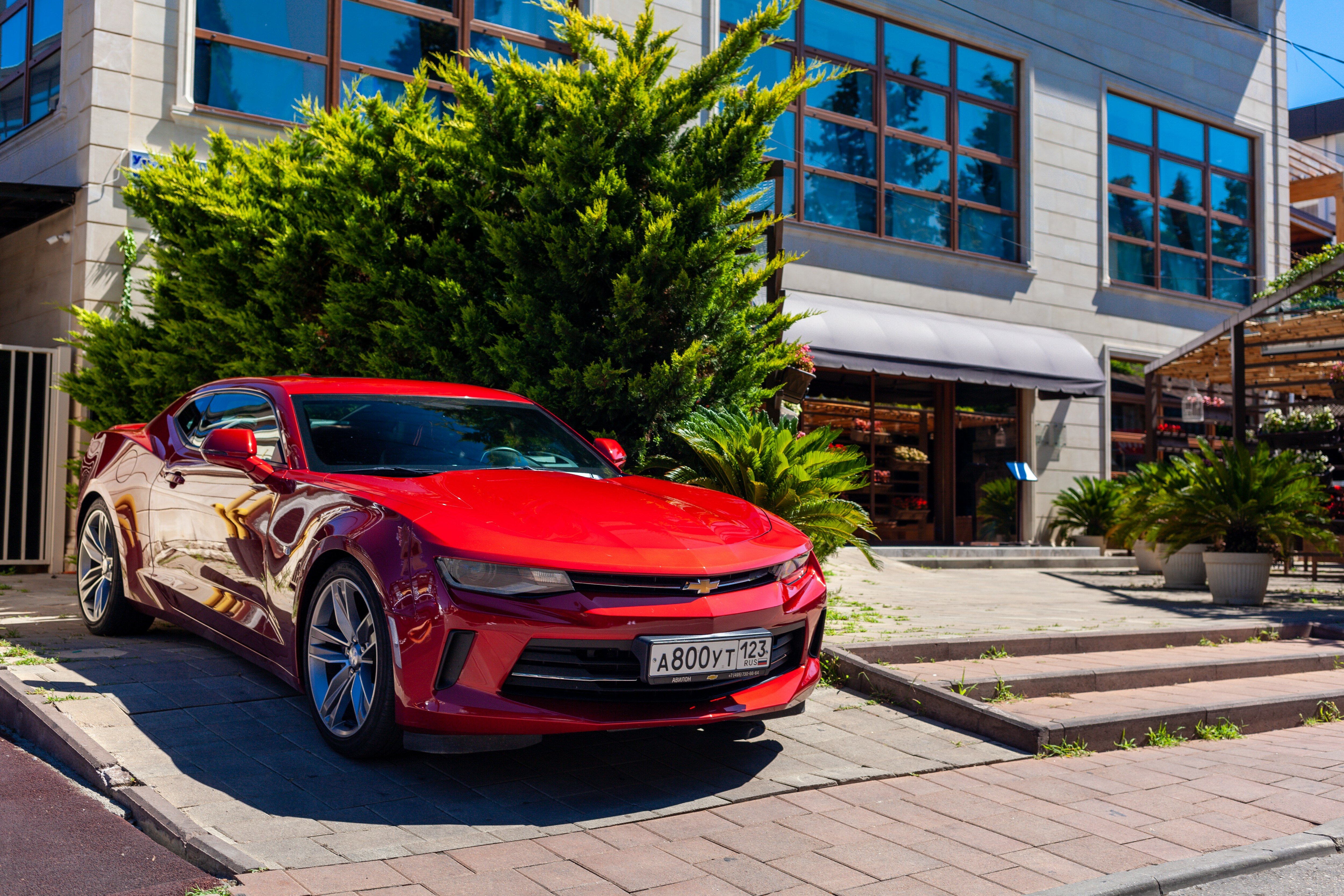 Фото Риффос