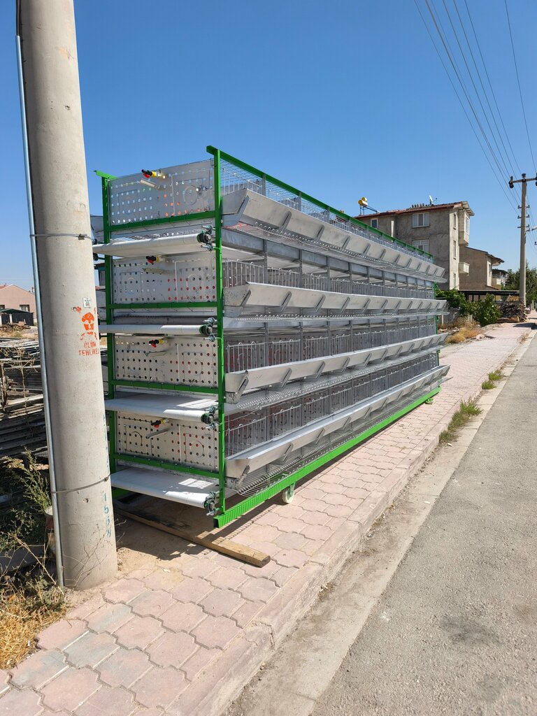 Intensive animal farming CanTav Chicken Cage Equipment, Konya, photo