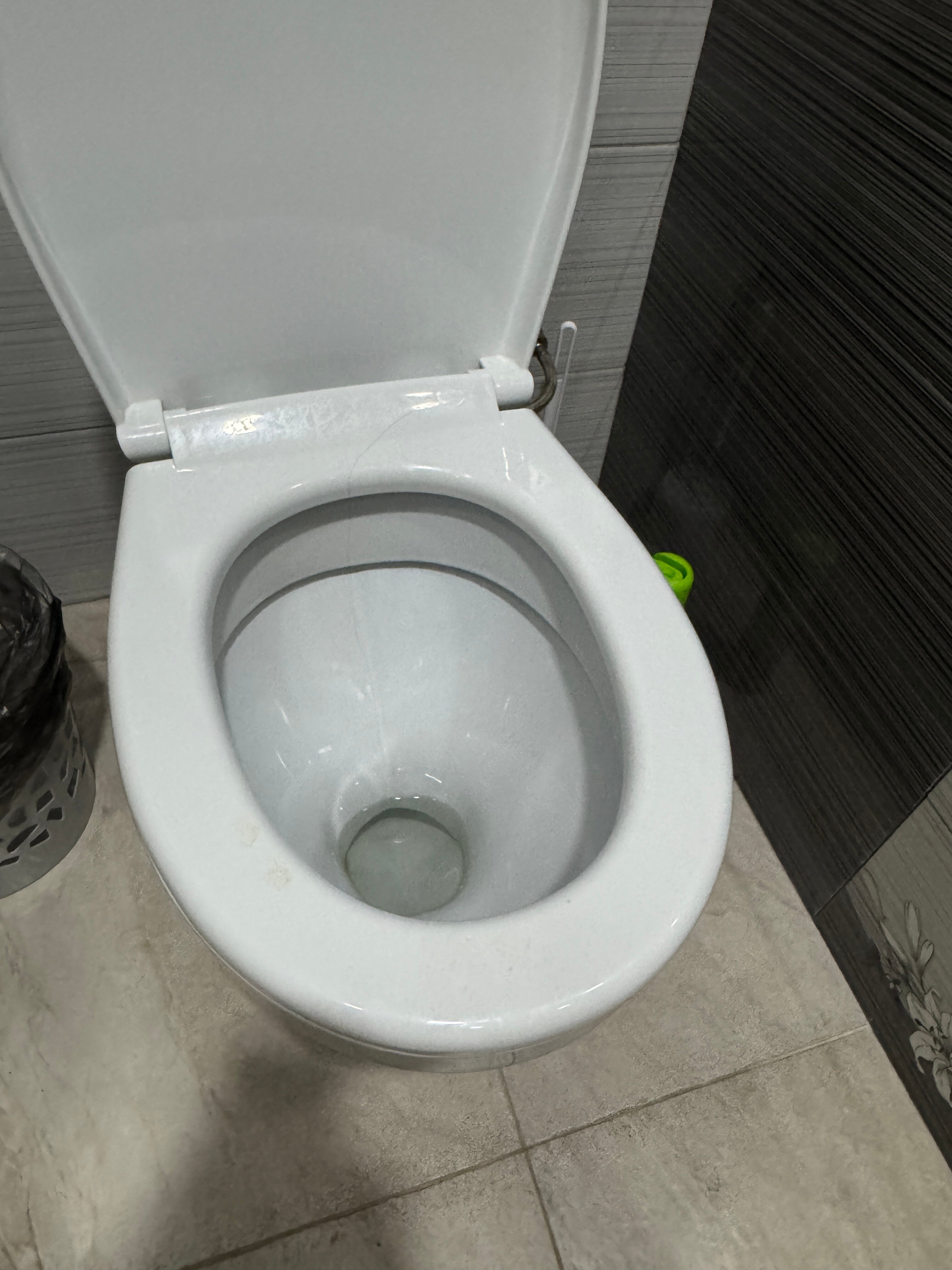 Фото Сова Беседы