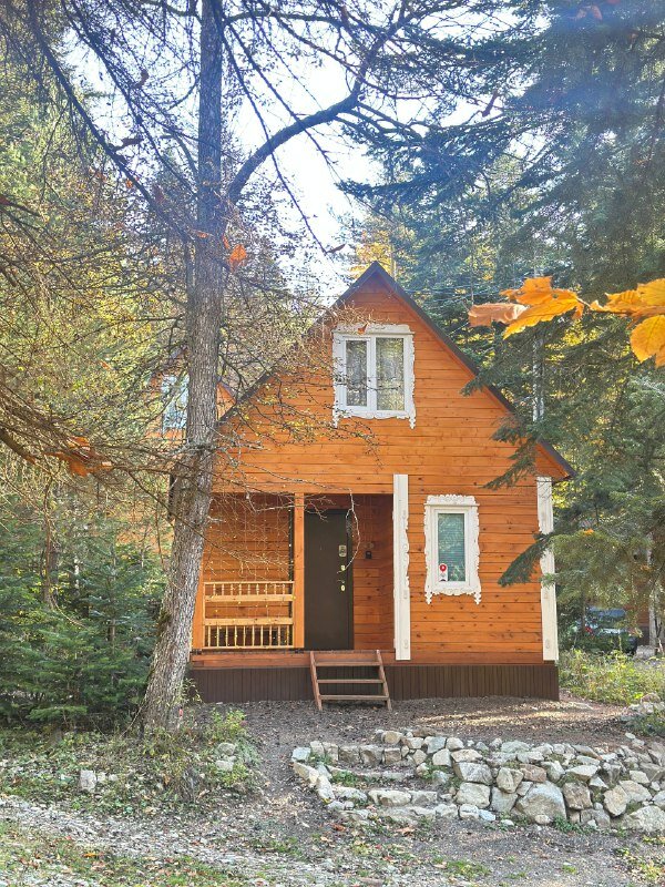 Фото Мухоморье