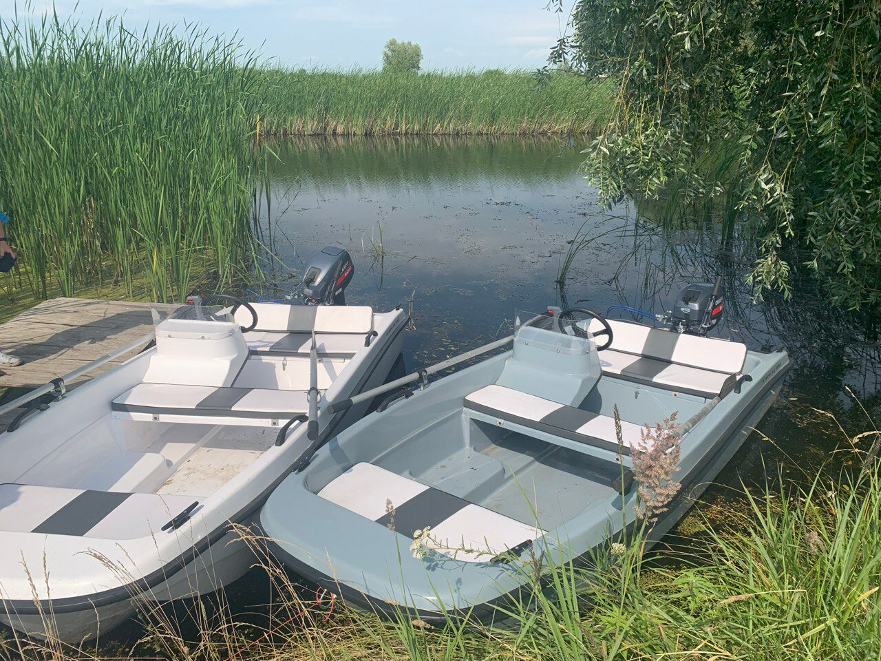 Фото Совушка