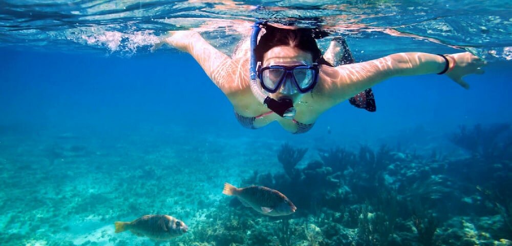 Фото Tamara Motels