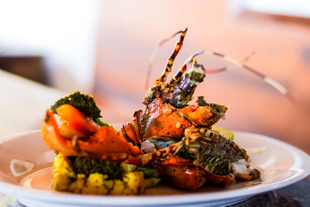 Фото Kikoi Boutique Hotel