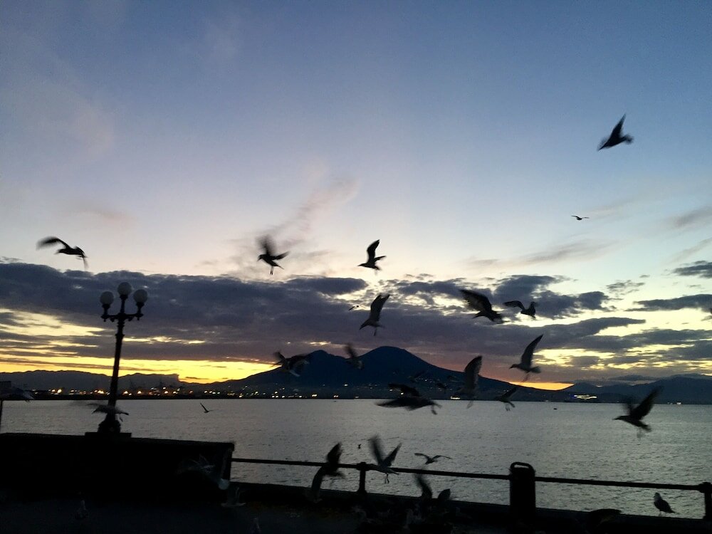 Фото Residenza Echia