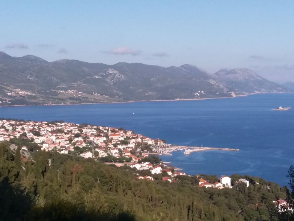 Фото Hotel Indijan