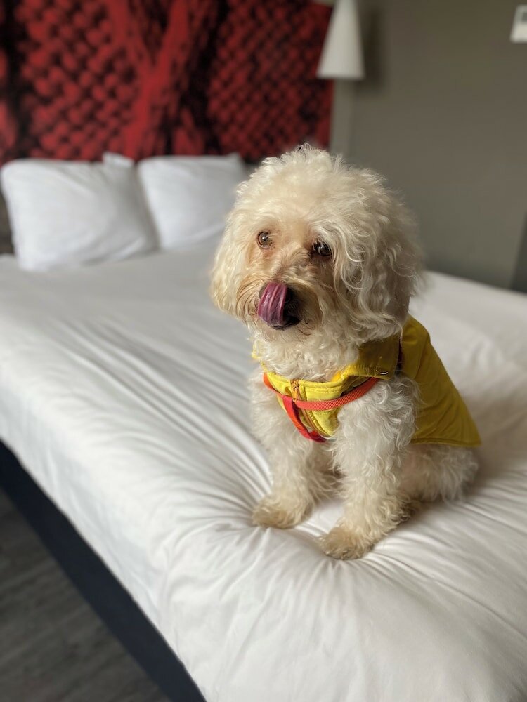 Фото Ibis Mexico Tlalnepantla