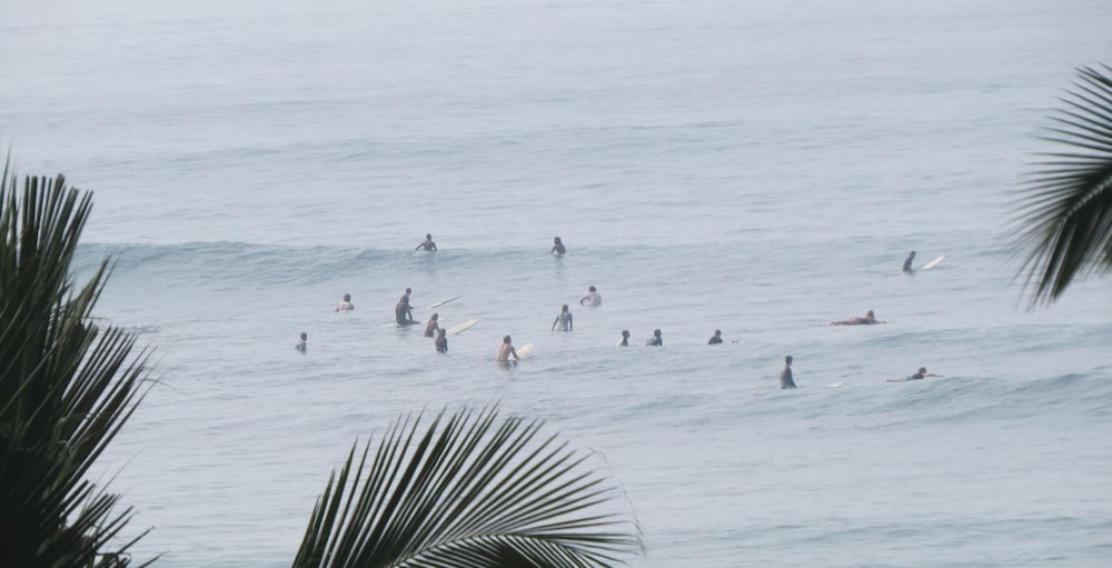 Фото Sailors Mirissa