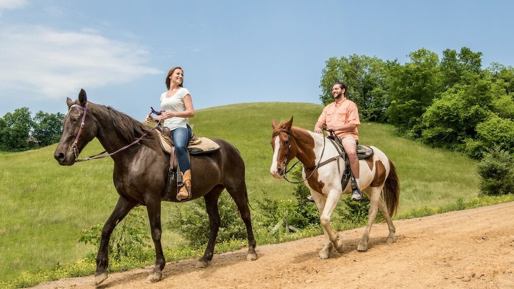 Фото Majestic Manor - Five Bedroom Cabin