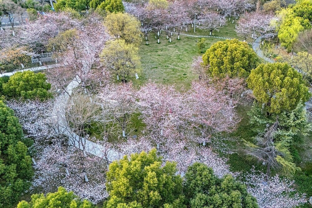 Фото Crowne Plaza Wuxi City Center