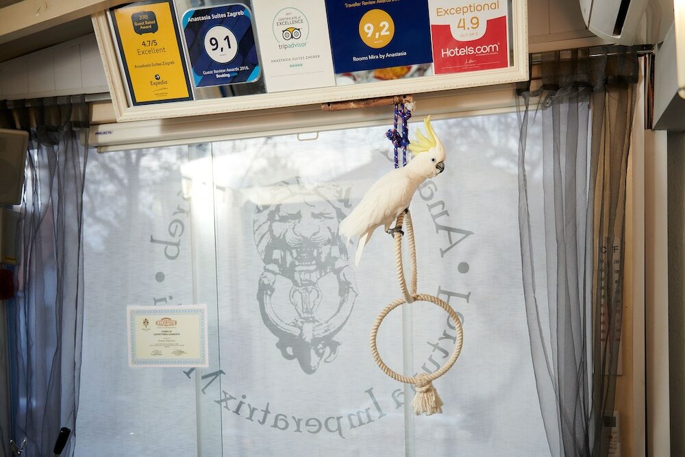 Фото Anastasia Suites Zagreb