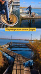 Волга-Дон (Volgograd Region, Svetloyarskiy rayon, Kirovskoye selskoye poseleniye), balık çiftçiliği ve toptancıları  Volgogradskaya oblastından