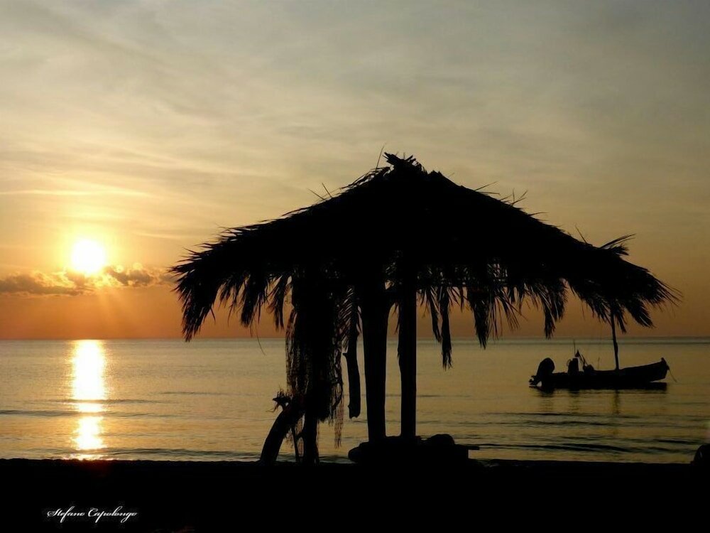 Фото Hotel Orchidea