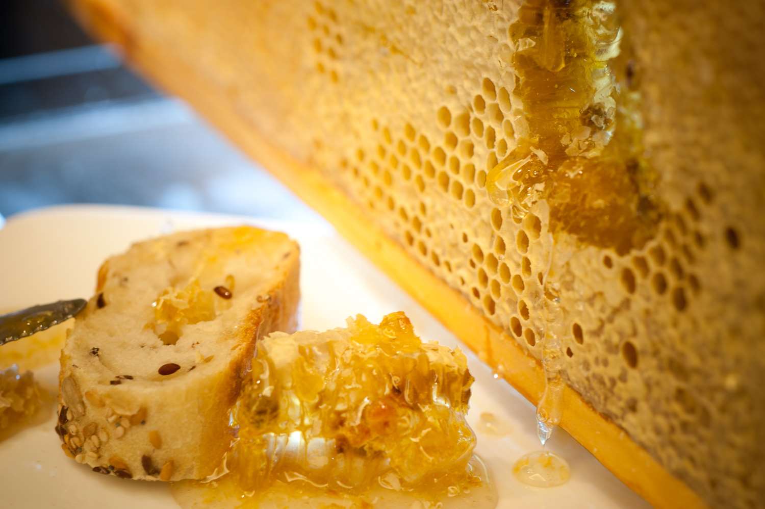 Фото Yooma Urban Lodge