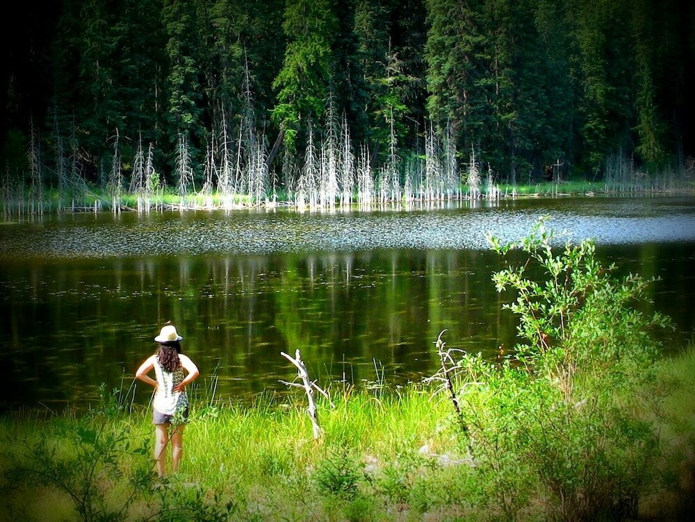 Фото Windtower Lodge and Suites