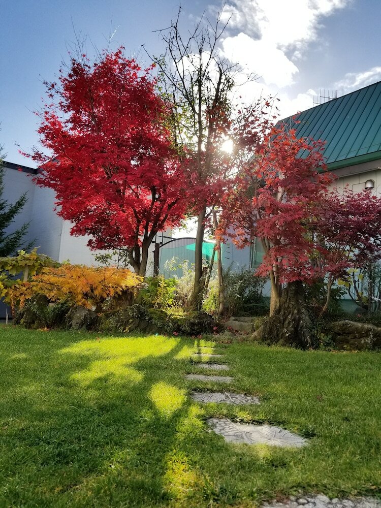 Фото Donguri House