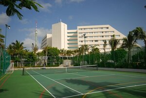 Гостиница Oasis Palm