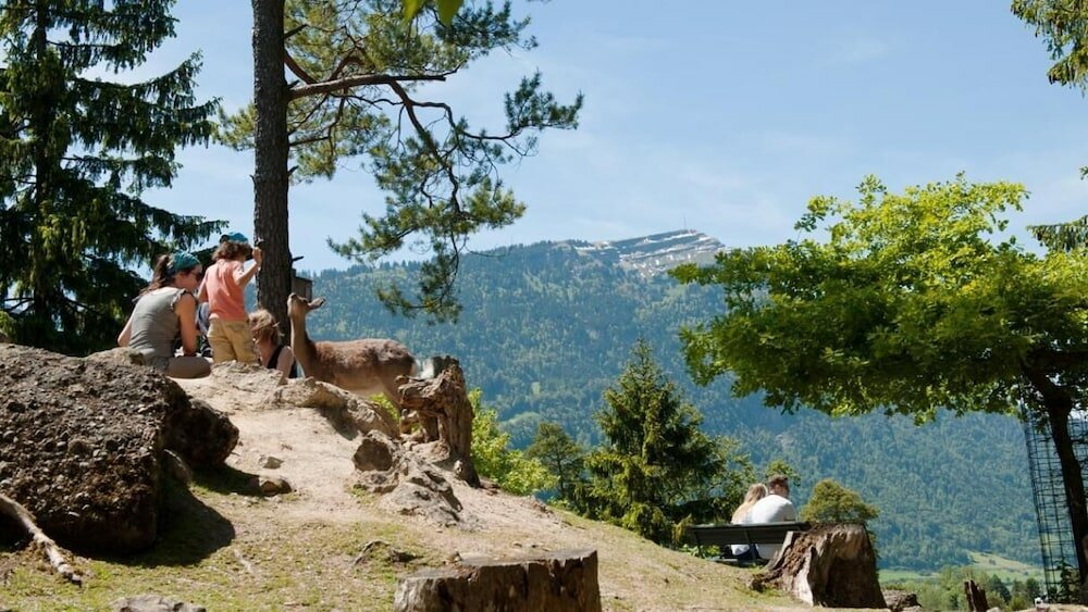 Фото Ibis Baar Zug