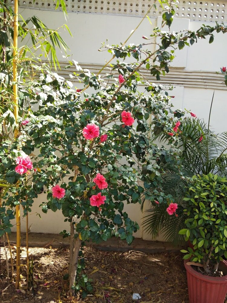 Фото Hotel Megh Niwas