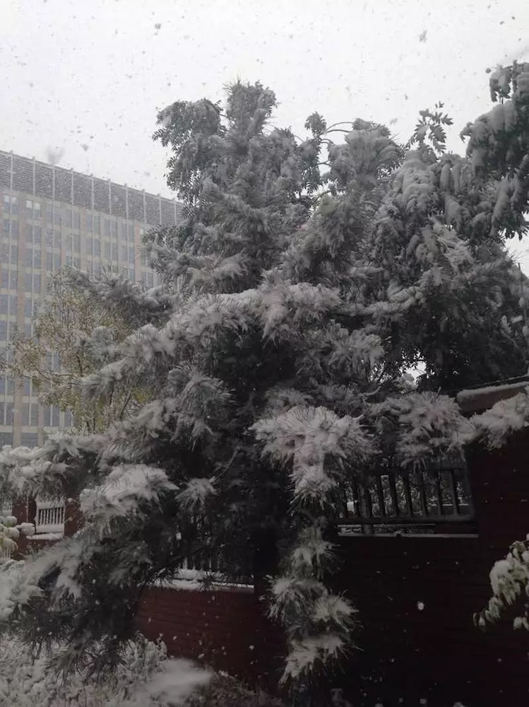 Фото Holiday Inn Express Ordos Dongshen, an Ihg Hotel