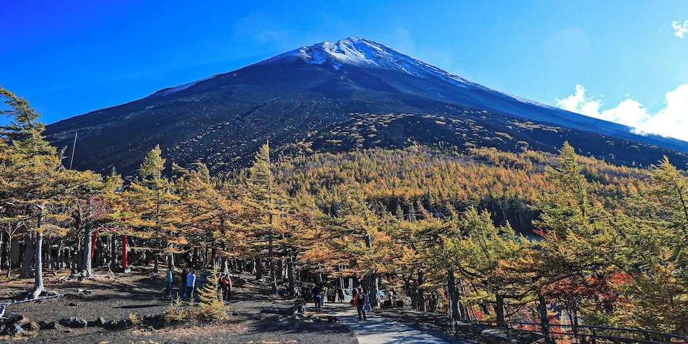 Фото Resort Inn Fuyo Kawaguchiko Inter store