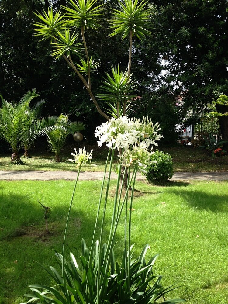 Фото Raffaelli Park Hotel