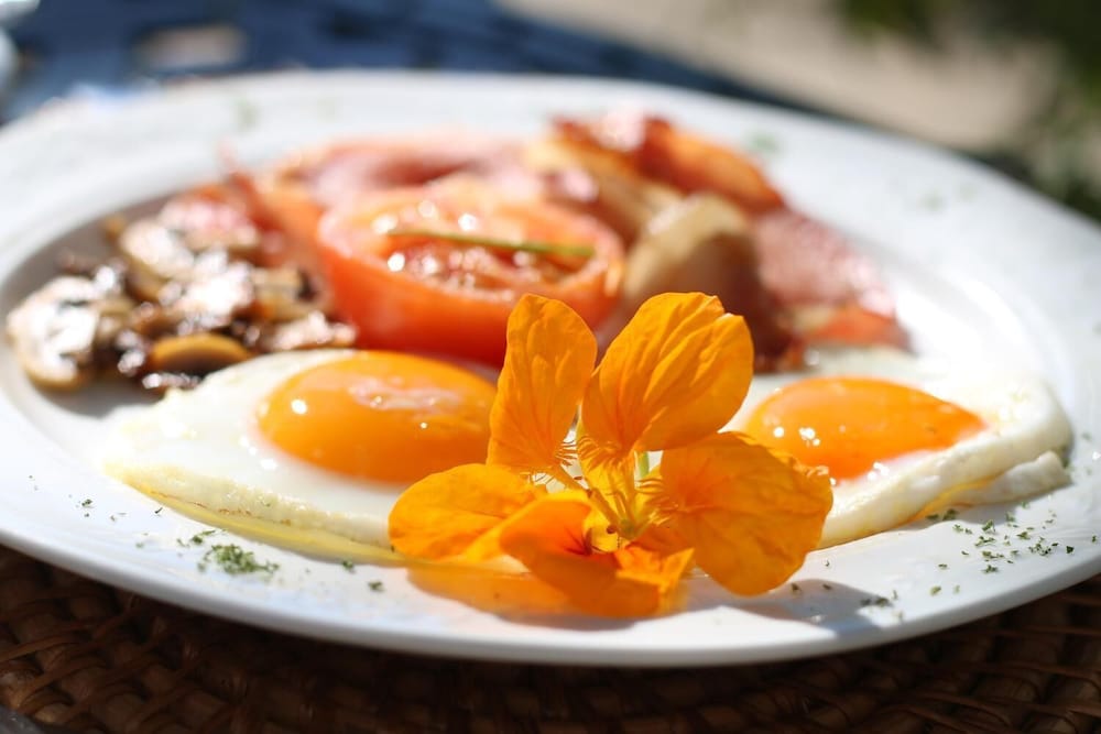 Фото Albourne Boutique Guest House