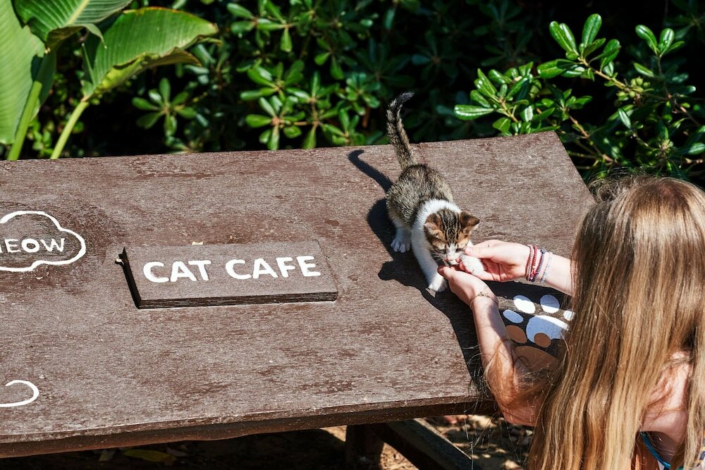 Фото Agapi Beach Resort