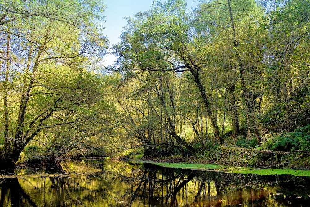 Фото Hotel Balneario Rio Pambre