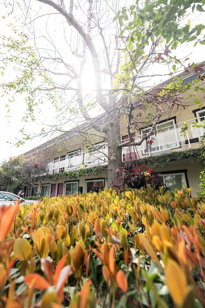 Фото Alamo Inn & Suites