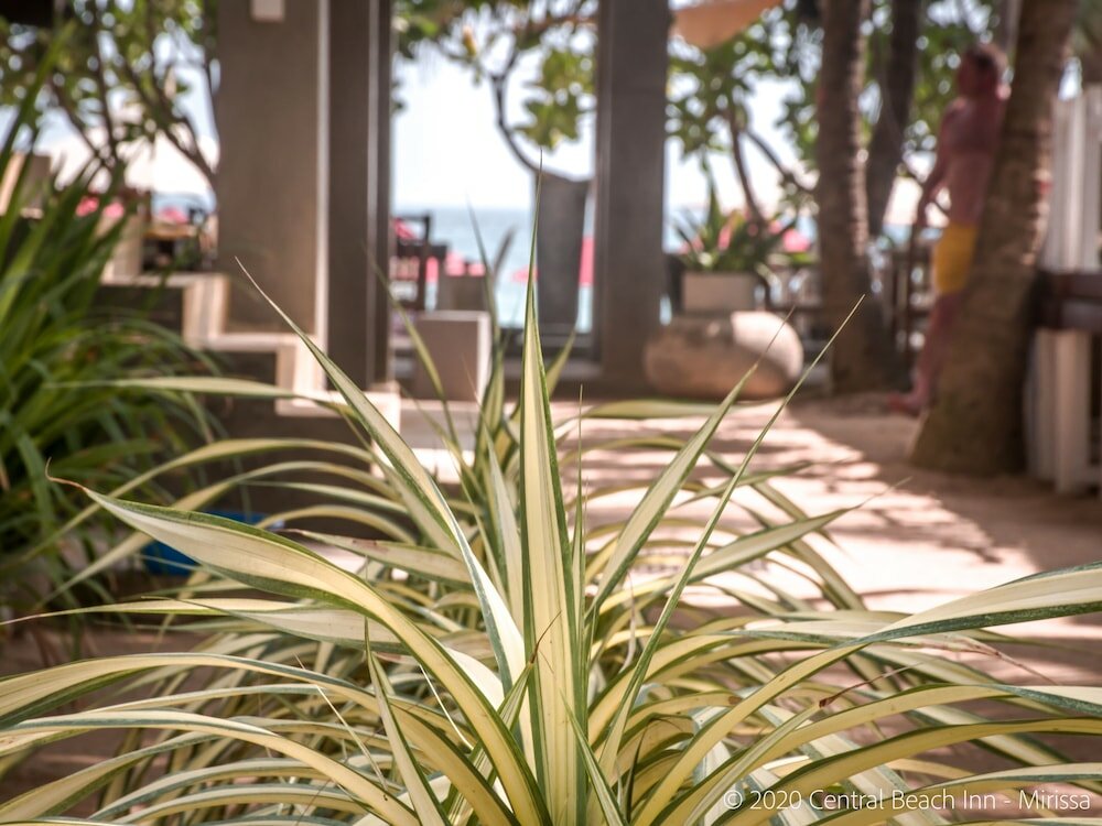 Фото Central Beach Inn