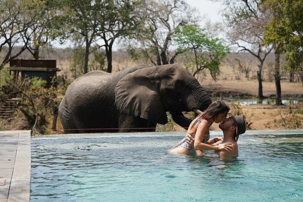 Фото 158997887249