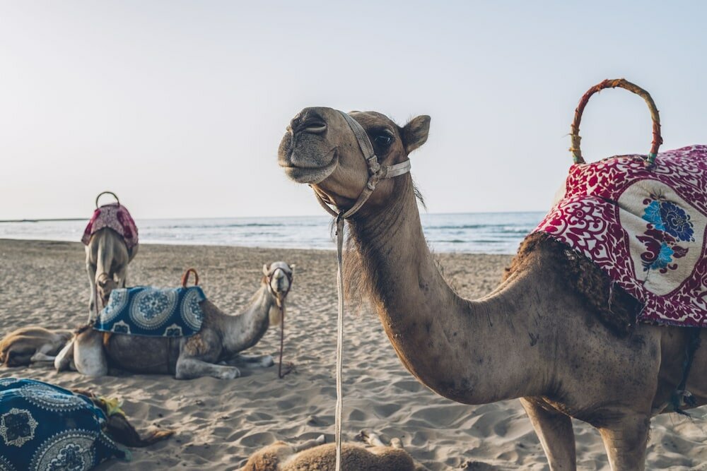 Фото Iberostar Waves Saïdia