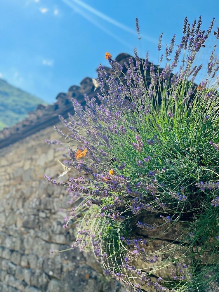 Фото Hotel de Londres