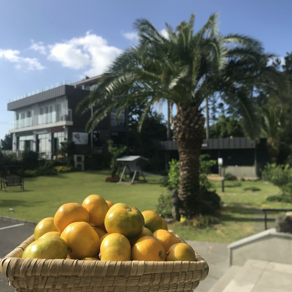 Фото The Bay Jeju Resort